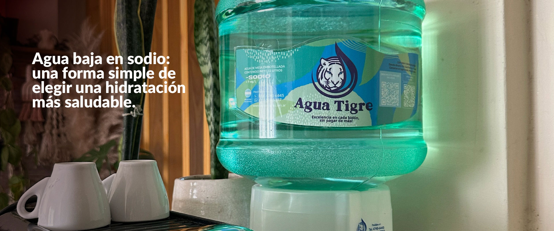banners_Agua Tigre-1