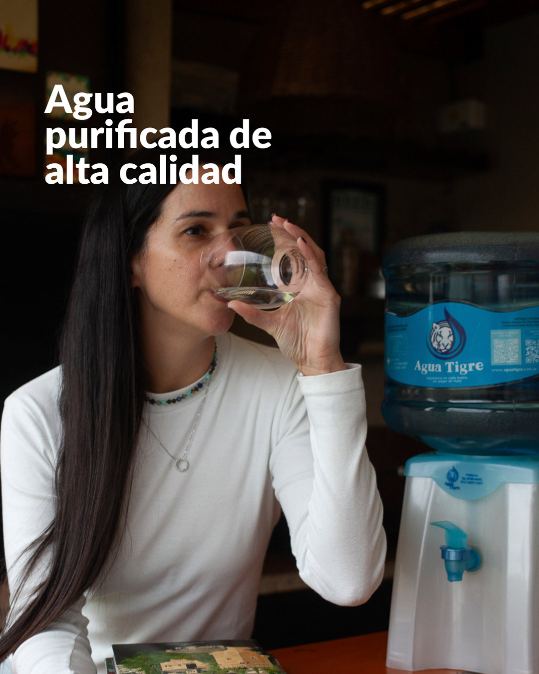 banners_Agua Tigre-5