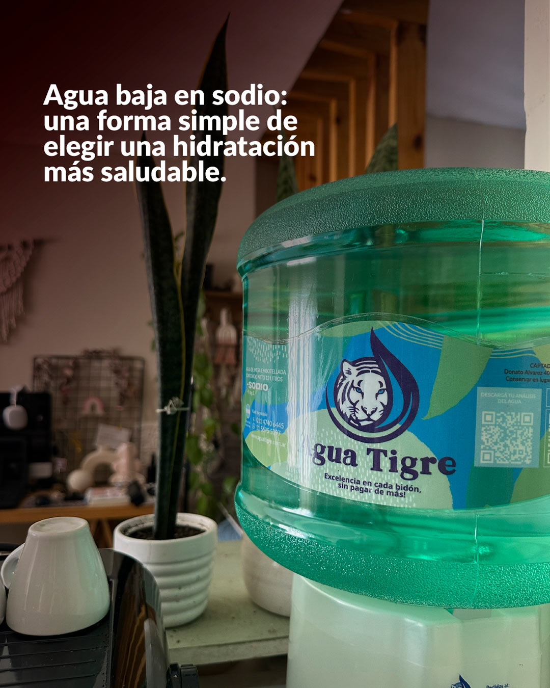 banners_Agua Tigre-8
